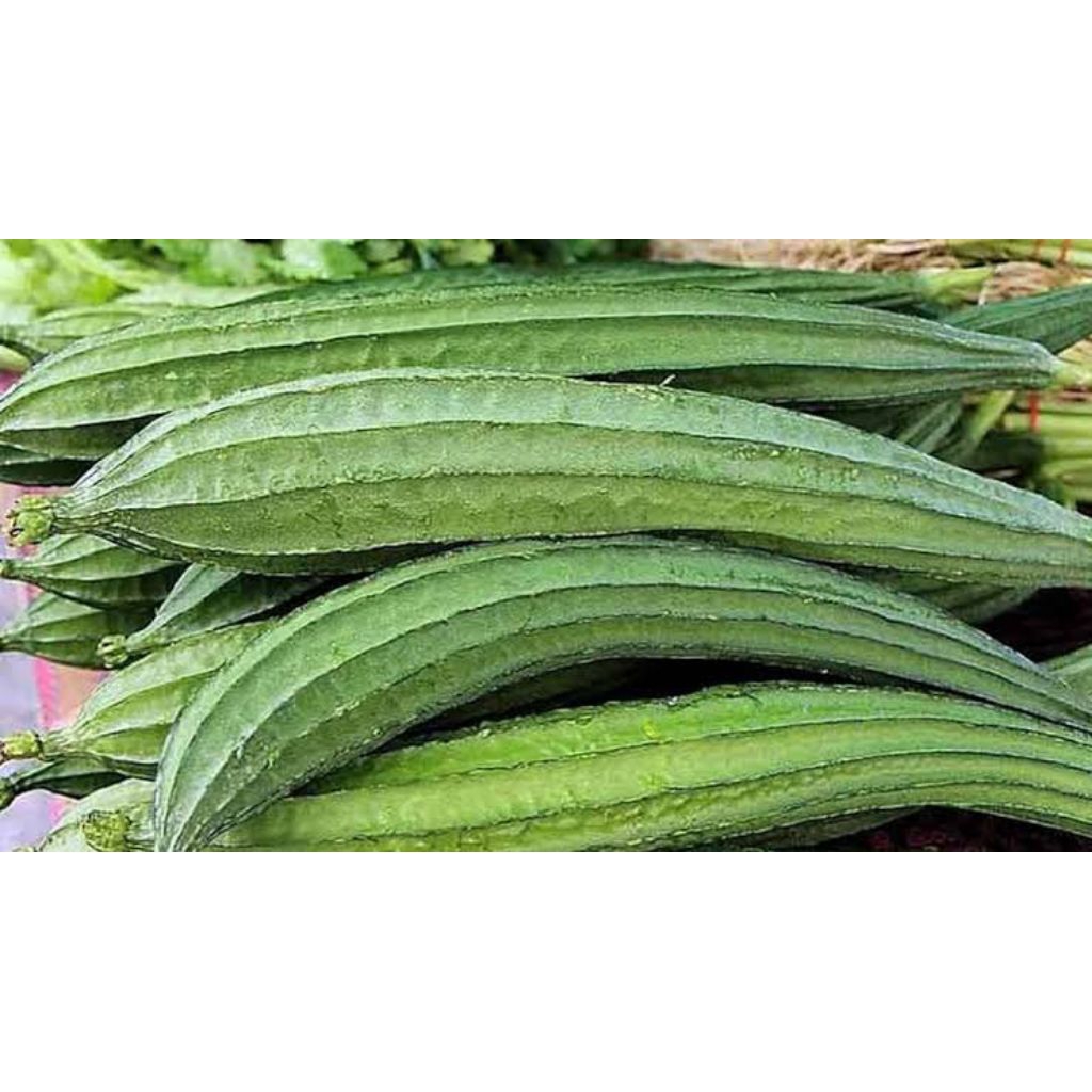 

Oyong 500 g