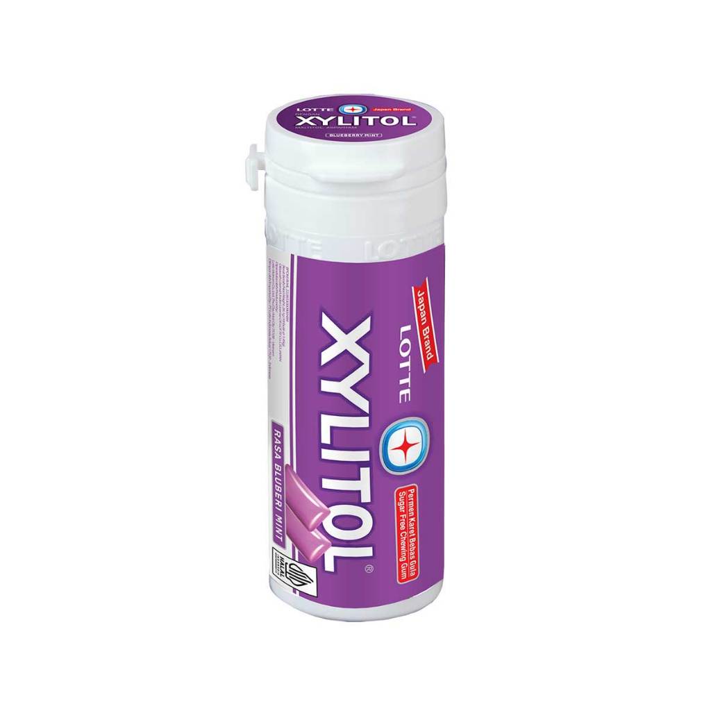 

Lotte Xylitol Gum Mini Bottle Blueberry Mint 26.1 gr