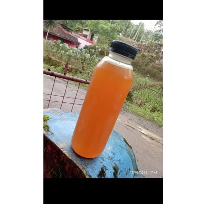 

madu Odeng asli