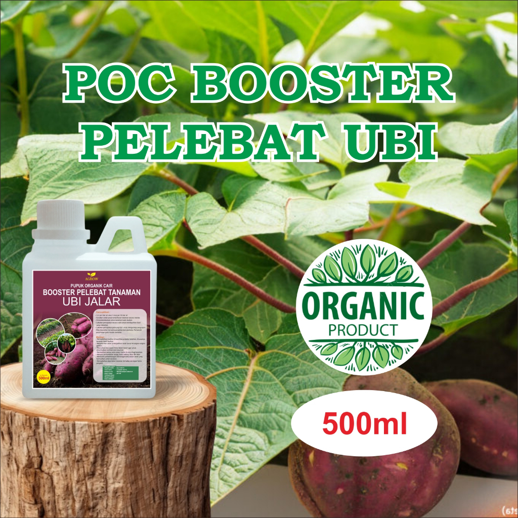 [COD] Pupuk Organik Booster Ubi Jalar Terbaik Ampuh 500 ML – Obat Pembesar Ubi Jalar Semakin Lebat d