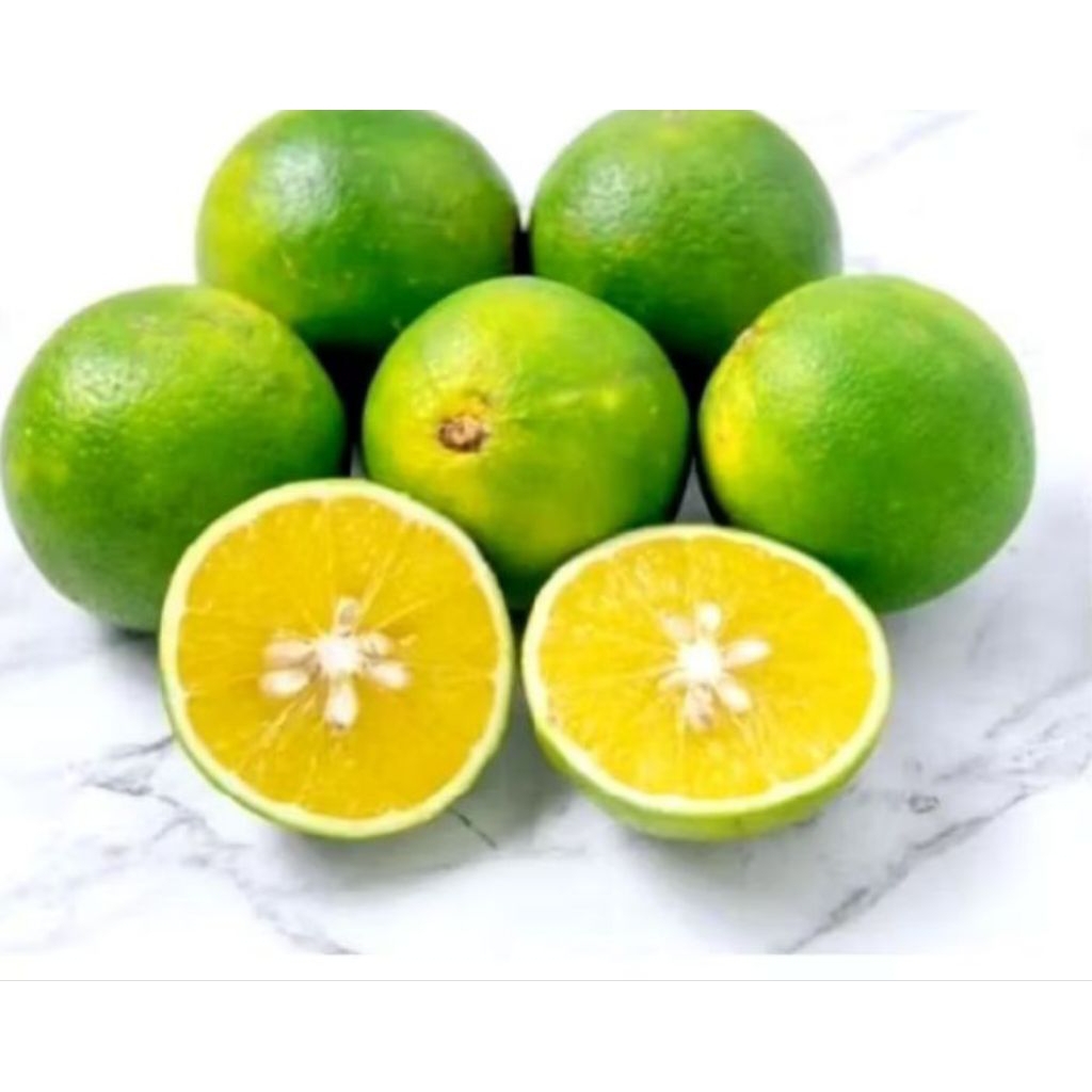 

jeruk baby Java manis segar 1kg