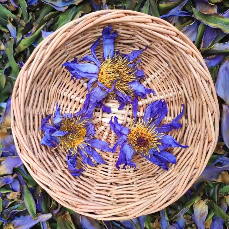 

BLUE LOTUS FLOWER TEA 5GR