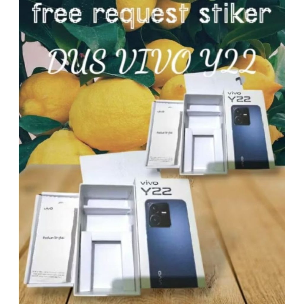 

dus box vivo y22