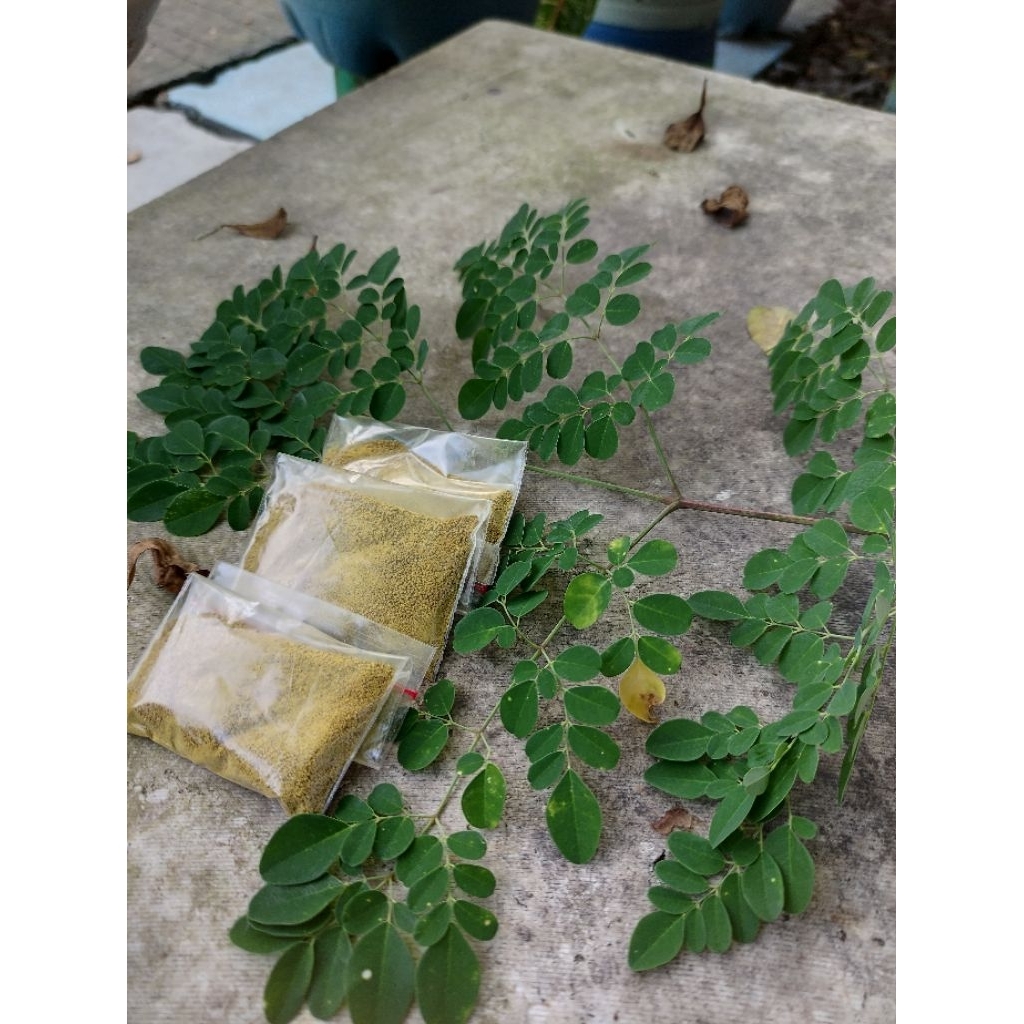 

kelor dan daun Temulawak fungsi imun tubuh dan menambah nafsu makan siap seduh (belum ada gulanya)