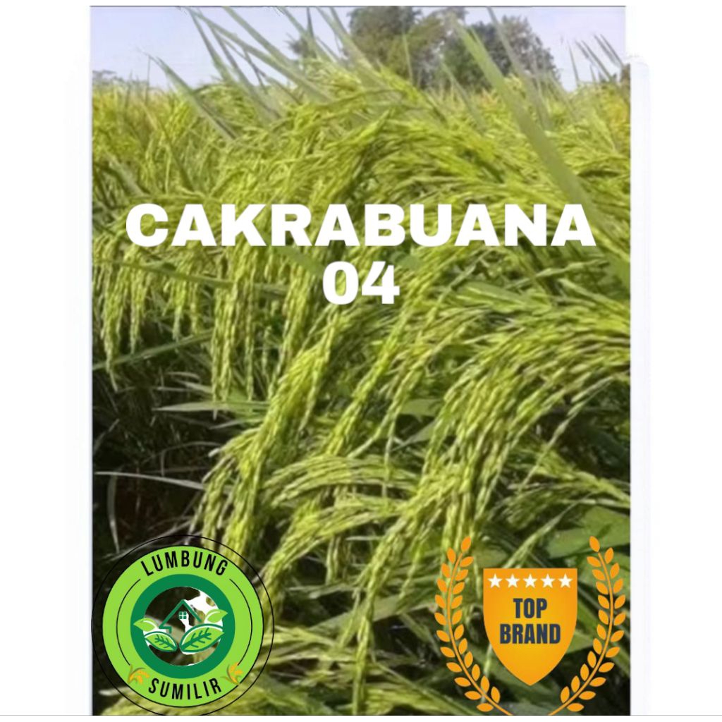 Benih Padi CAKRABUANA 04 Kemasan 5KG