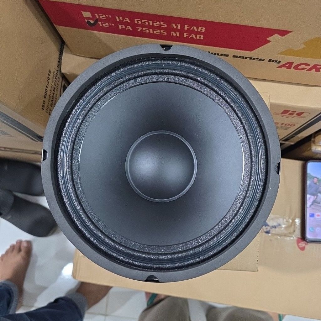 Speaker FABULOUS 8in 20501 M FAB