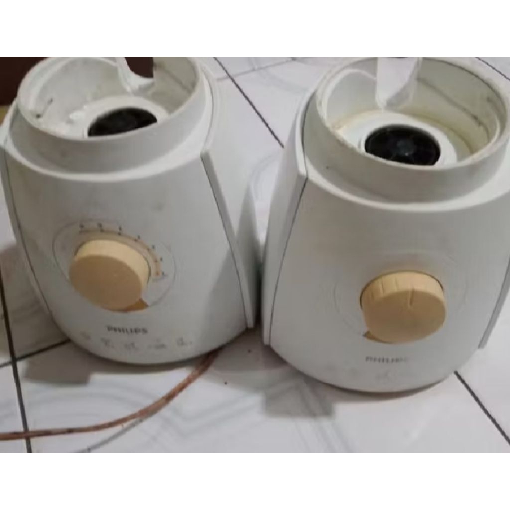 blender Philips model lama