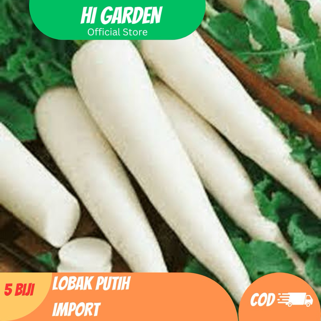 

5 Biji Benih Lobak Putih – Sayuran Akar Cepat Panen & Mudah Ditanam