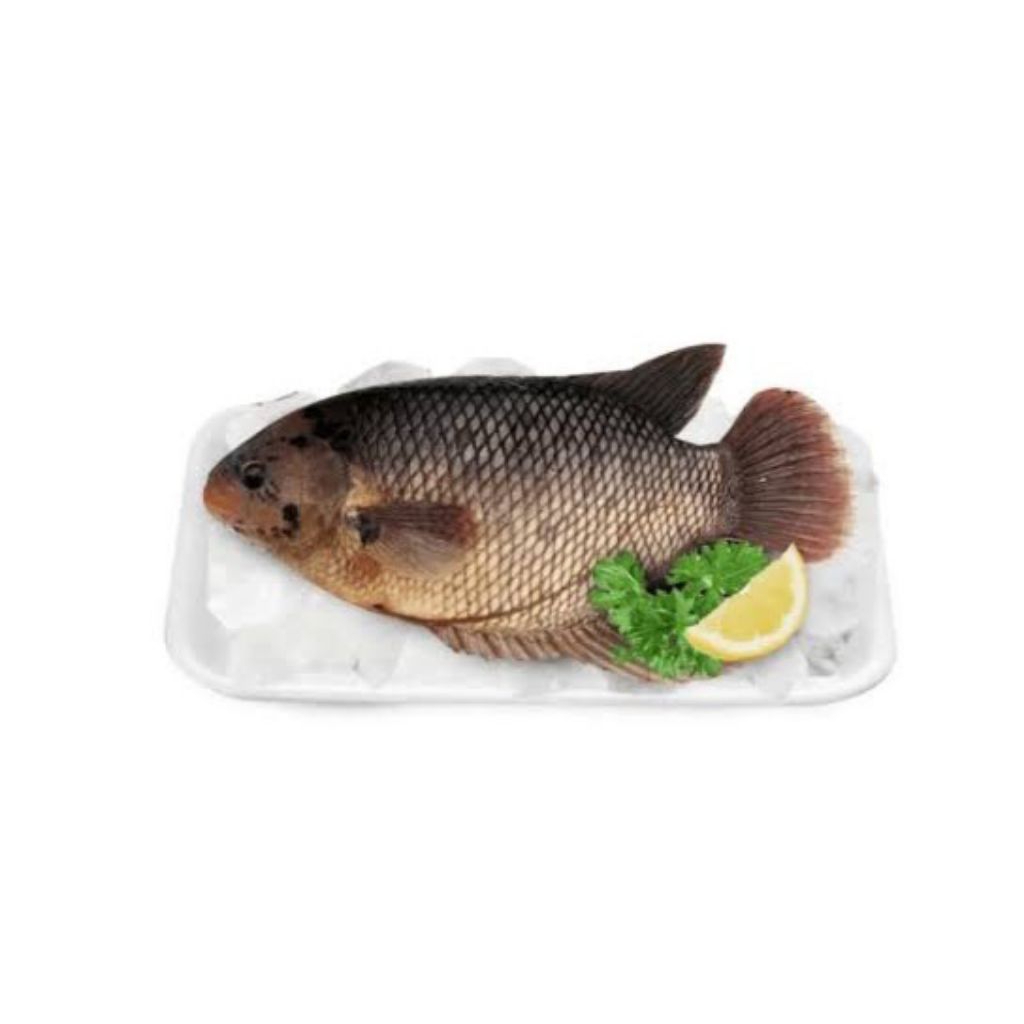 

Ikan Gurame Frozen 1 pack berat 400 sd 500gr