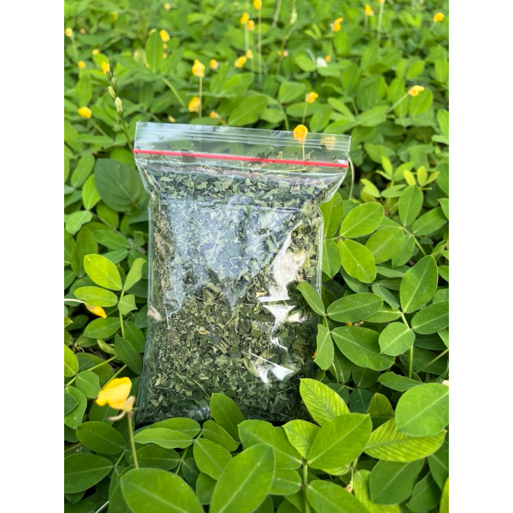 

Daun kelor kering Murni / Sangat bermanfaat untuk kesehatan