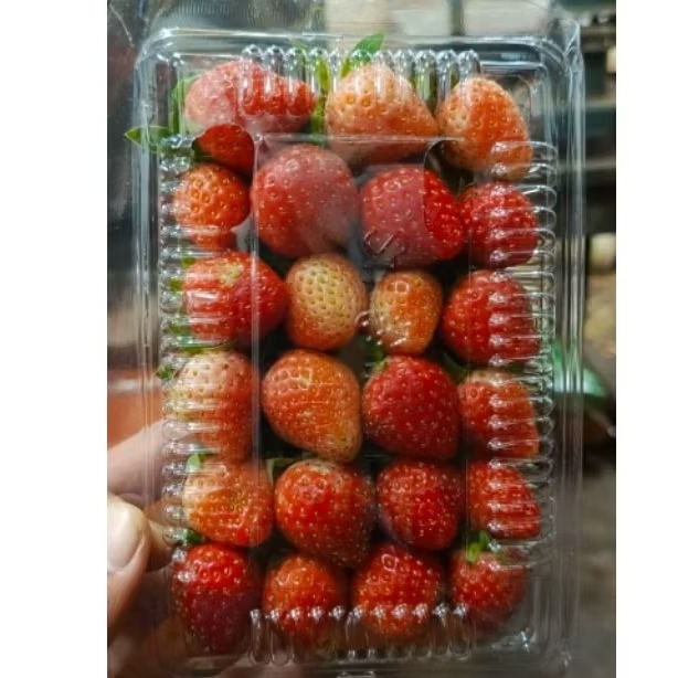 

Strawberry Fresh Pack