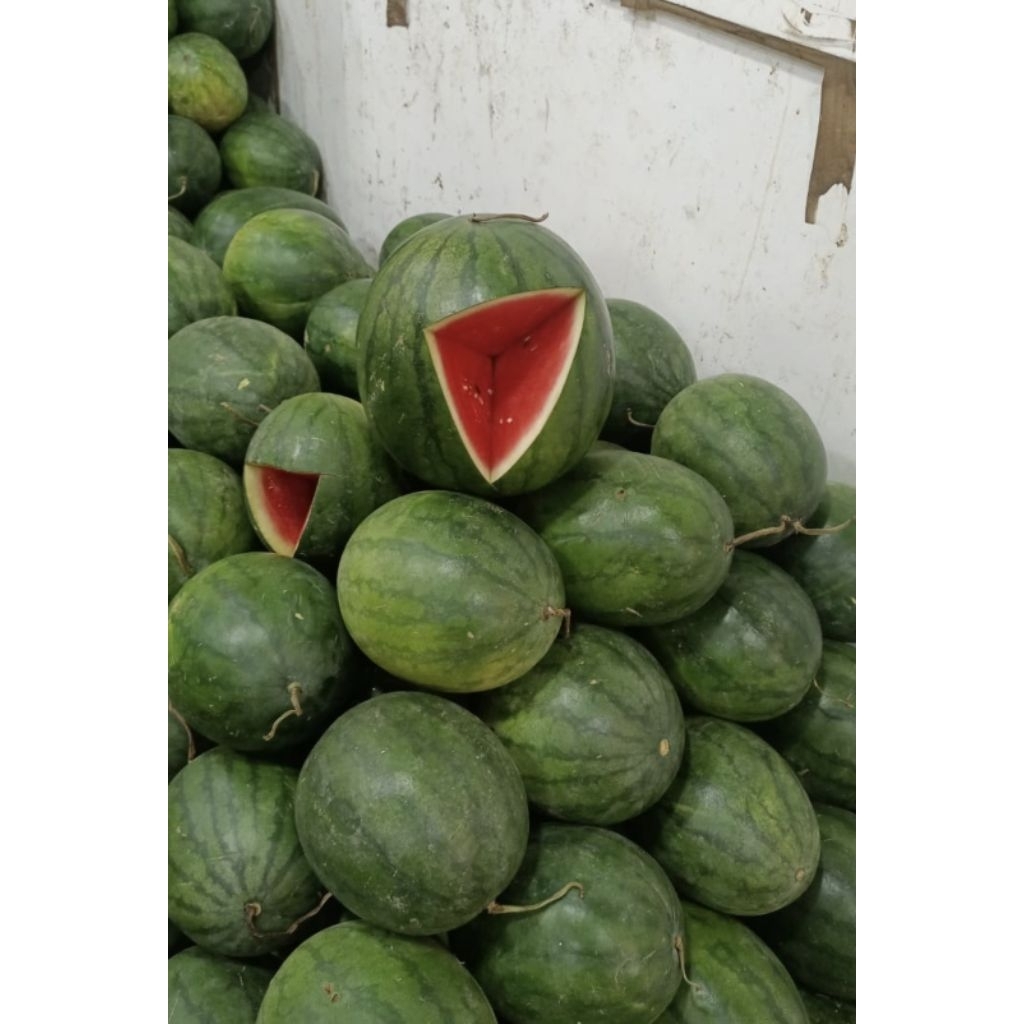 

semangka merah bisa request belah harga perkilo