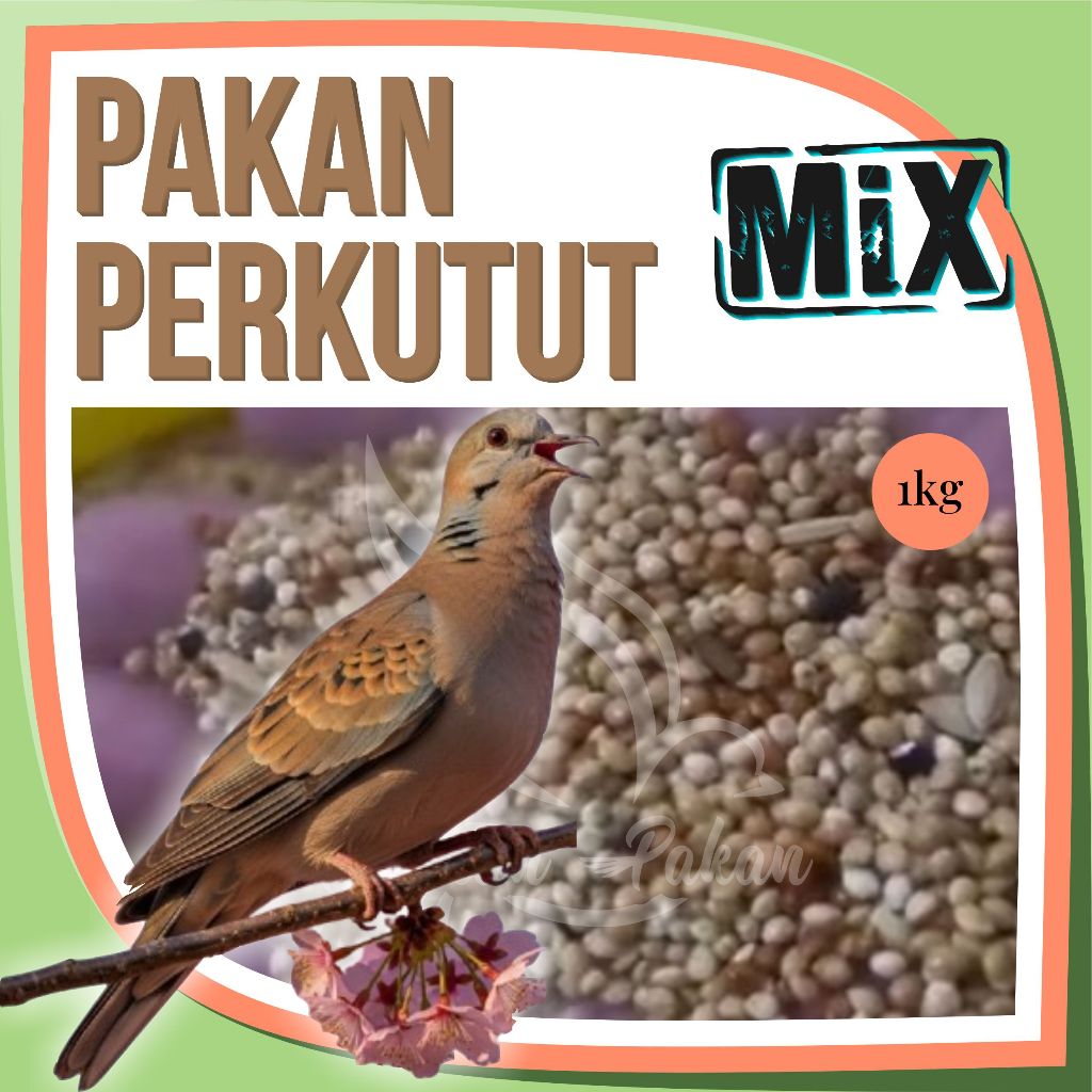 Pakan Burung Perkutut 1Kg Supaya Gacor Kiloan Gabah Jewawut Kenari Seed Milet
