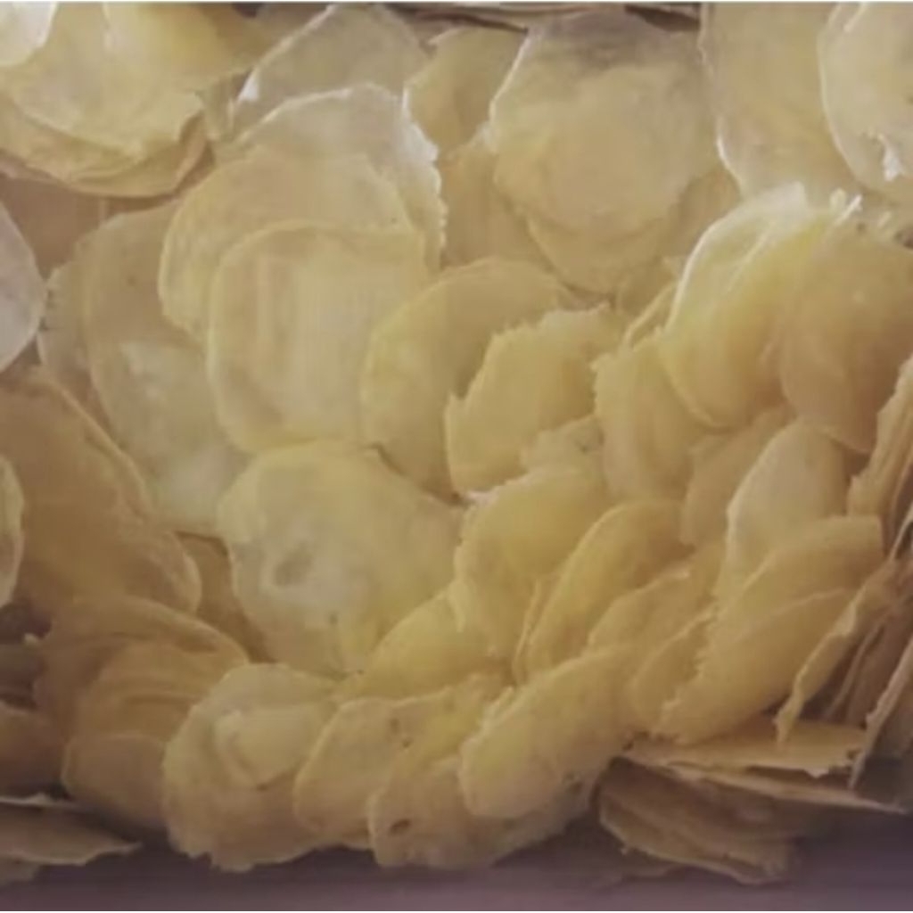 

Kerupuk Singkong/Krepek Tette/makanan khas Pamekasan Madura bentuk bulat