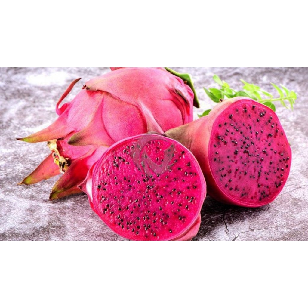 

buah naga merah lokal