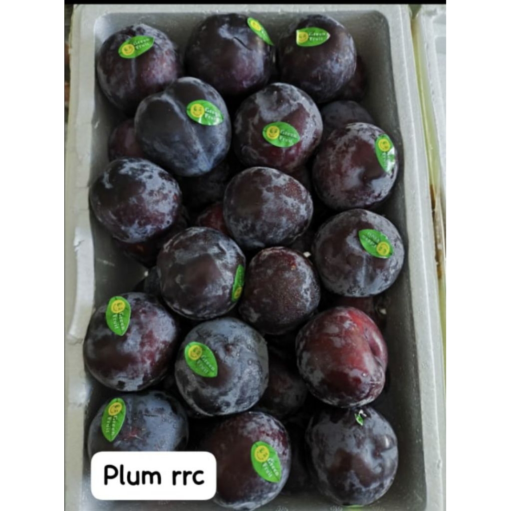 

buah plum khusus semarang