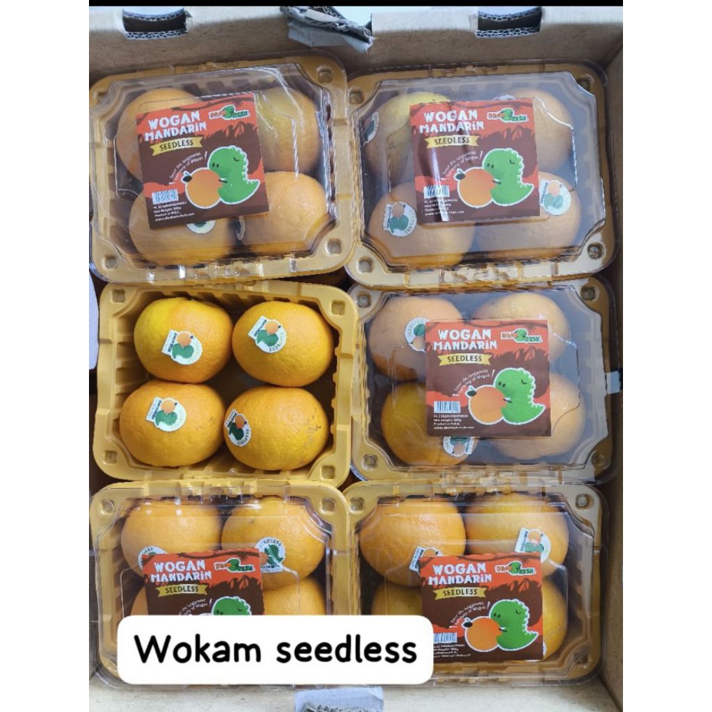 

jeruk wokam seedless khusus semarang