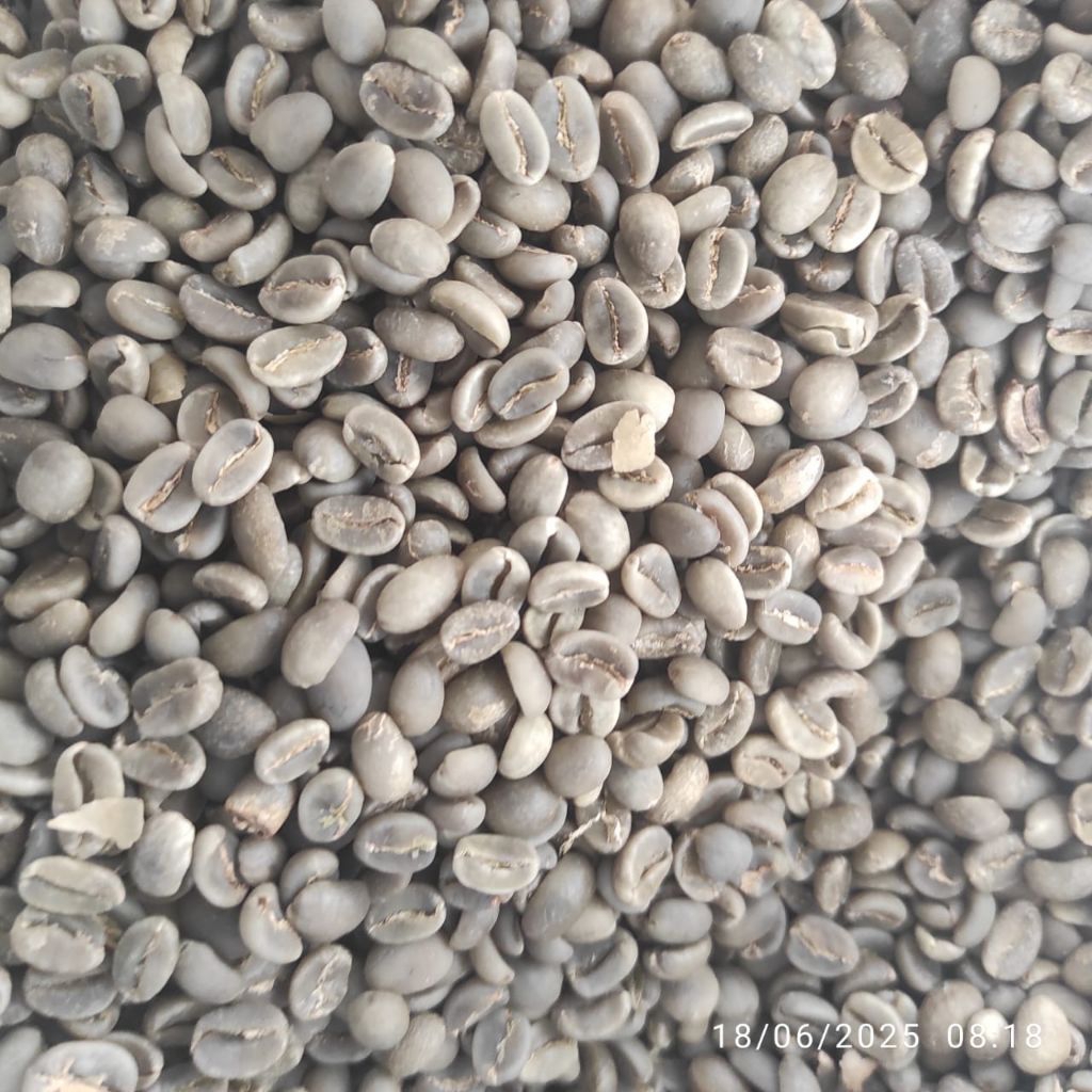 

Greenbean Arabika natural
