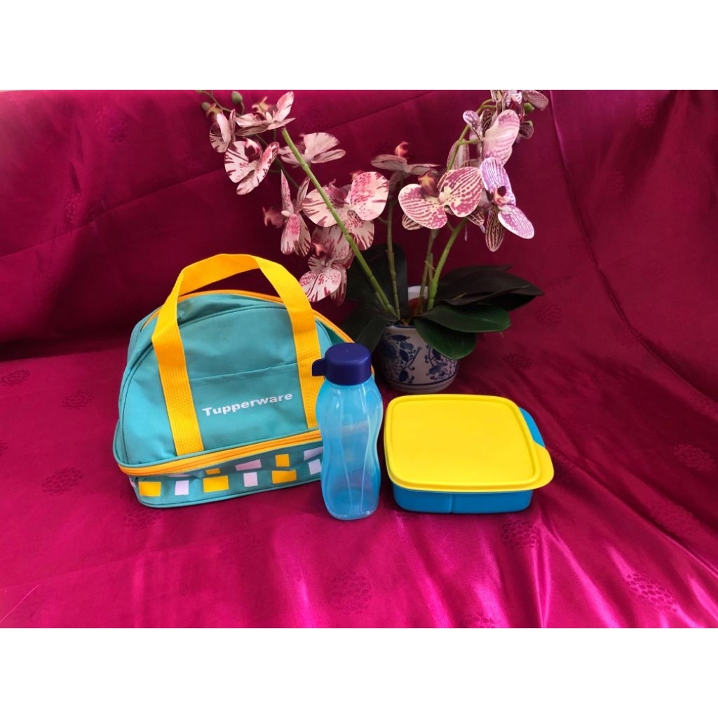Lolly Tup Set Tupperware || Lunch Box Set