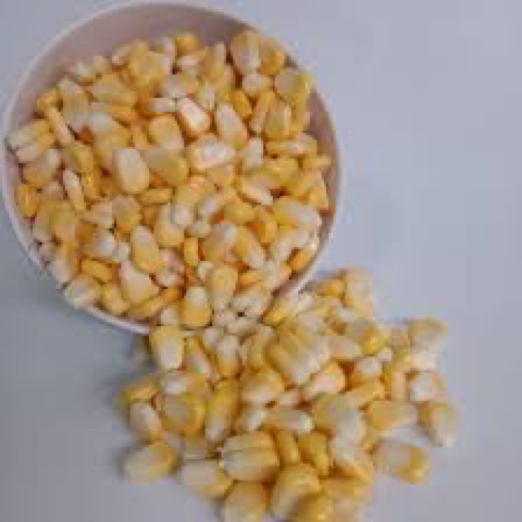 

Jagung pipil