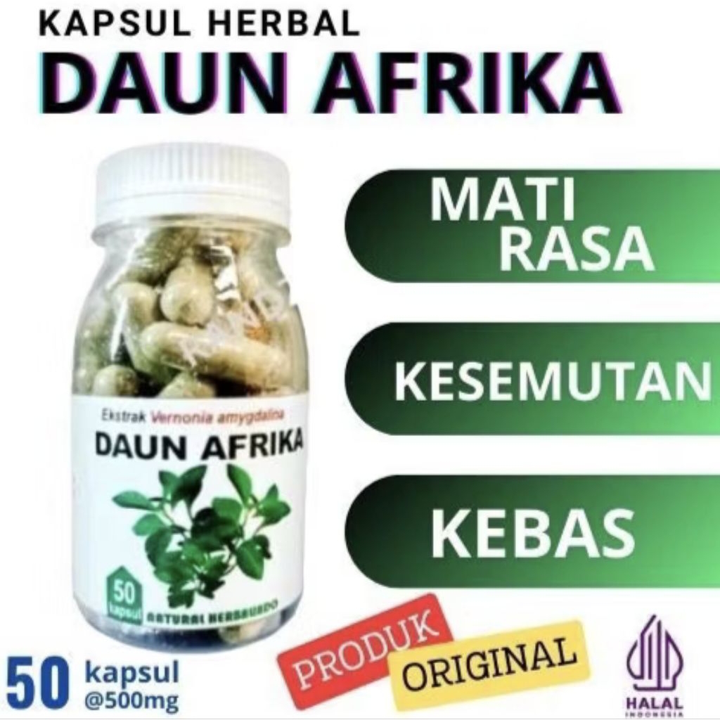 DAUN AFRIKA  STROKE, KESEMUTAN,KEBAS