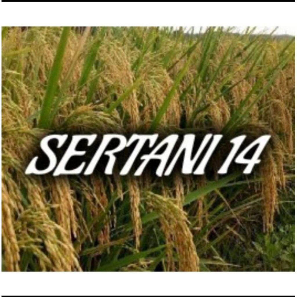 BENIH PADI SERTANI 14 1KG