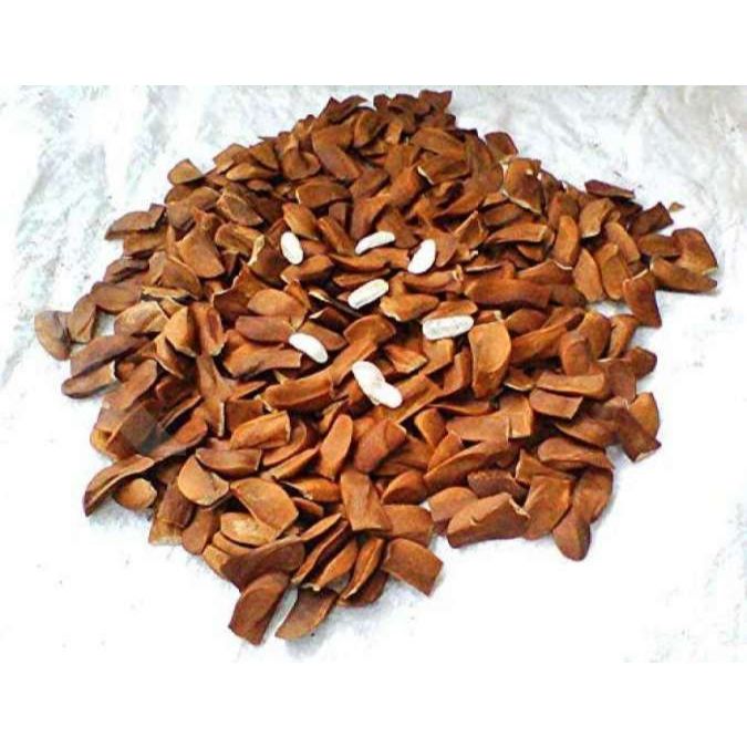 

Biji Mahoni Kulit Kering | Mahoni Kulit Super 100gr