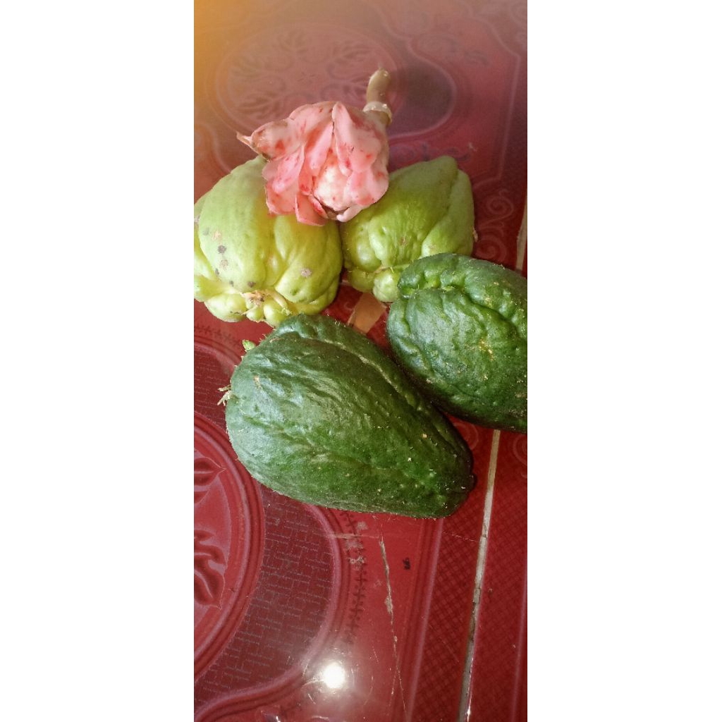 

satu paket bunga kecomrang dan labu siam