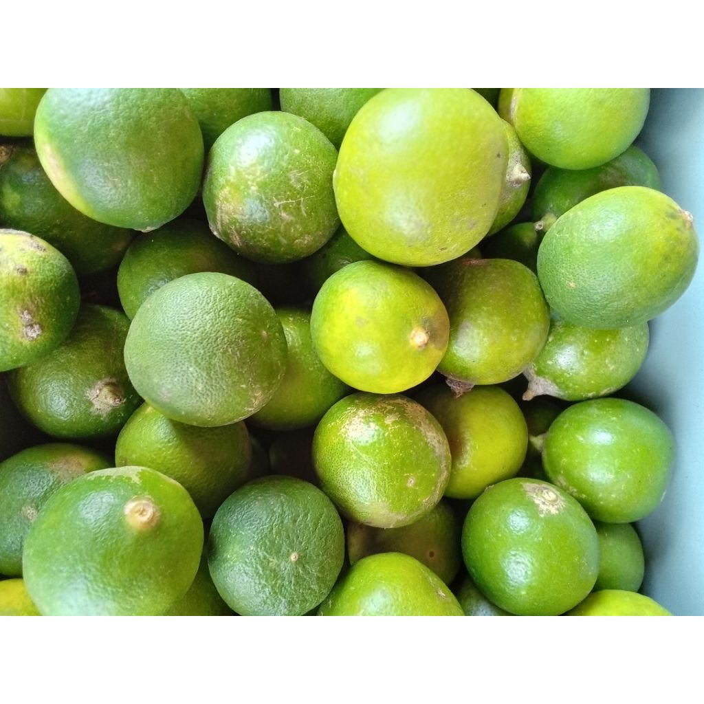 

jeruk nipis 100 g isi 3 - 5 butir sayur segar jogja