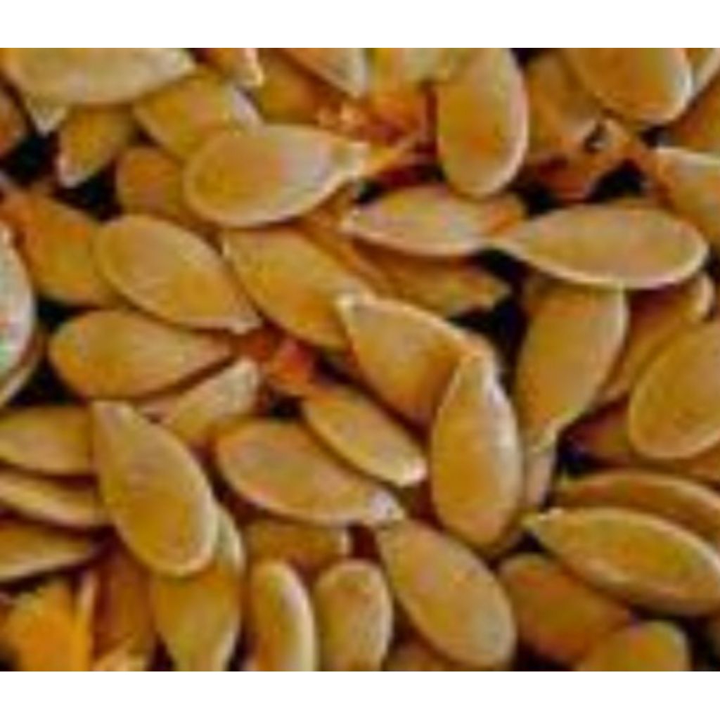 

Jual biji labu kering kuwalitas bagu per 500 biji