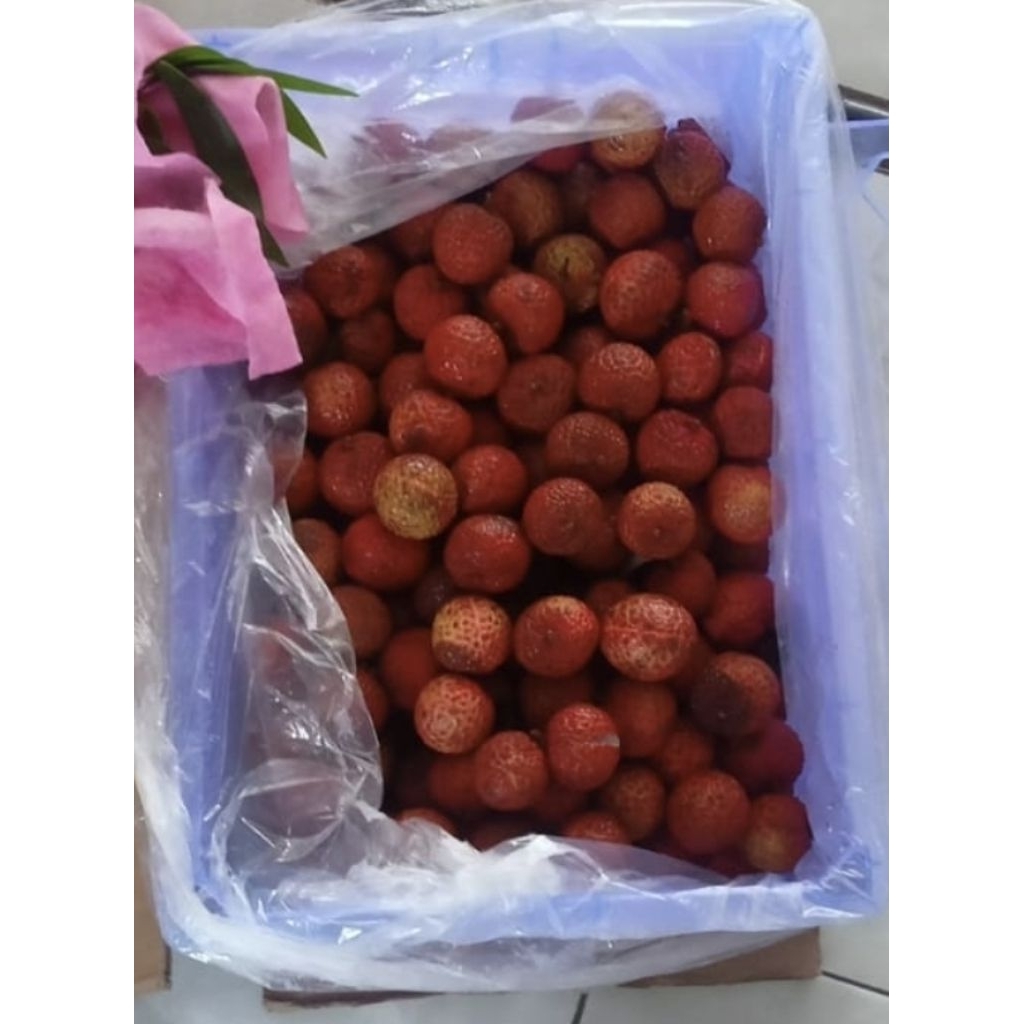 

lecy merah 1 kg