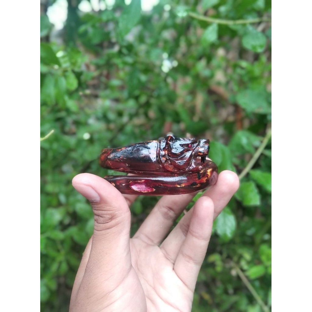 gelang akar bahar merah asli tembus ukir macan