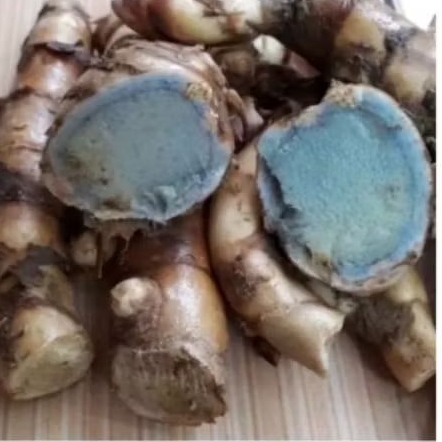 

Temu hitam asli 500 gram bersih