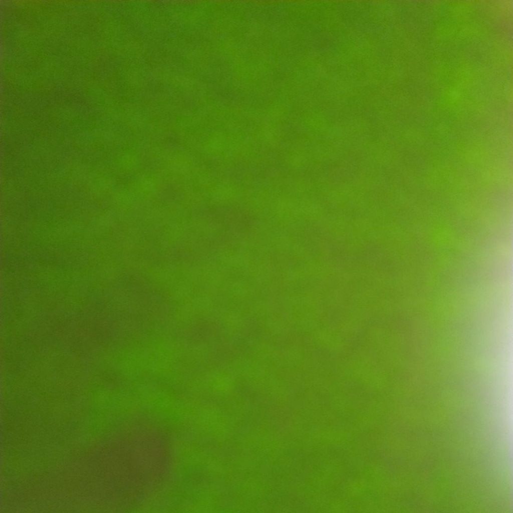 

Sisa Kertas potongan kecil2 3cm