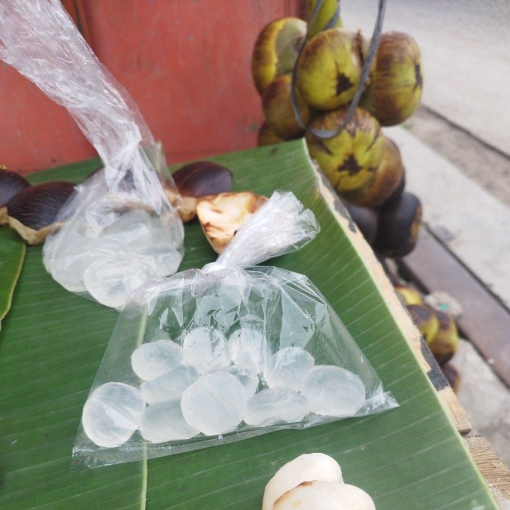 

Buah Lontar 10 pcs Buah Siwalan