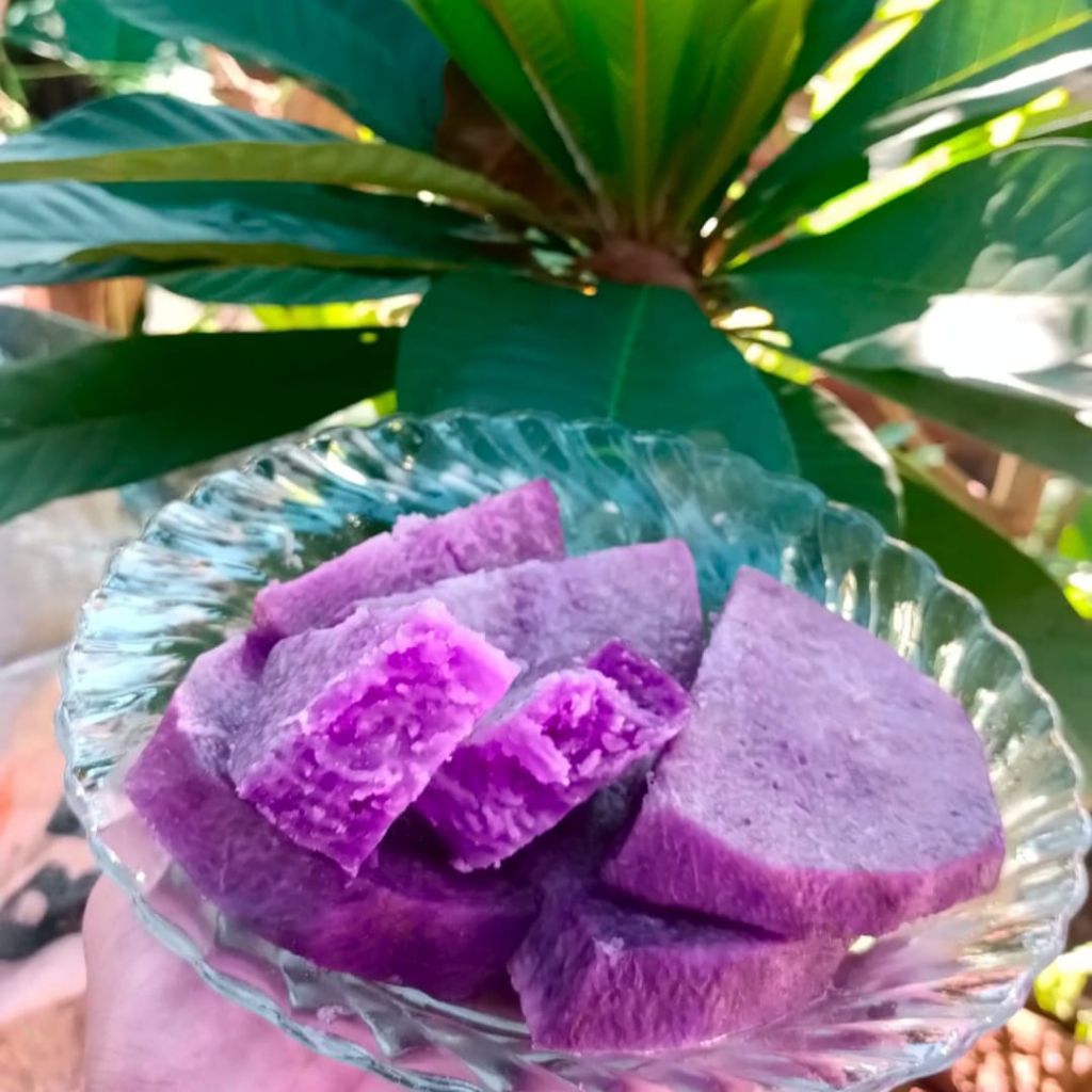 

Ubi uwi ungu mepyur paket hemat gratis ongkir