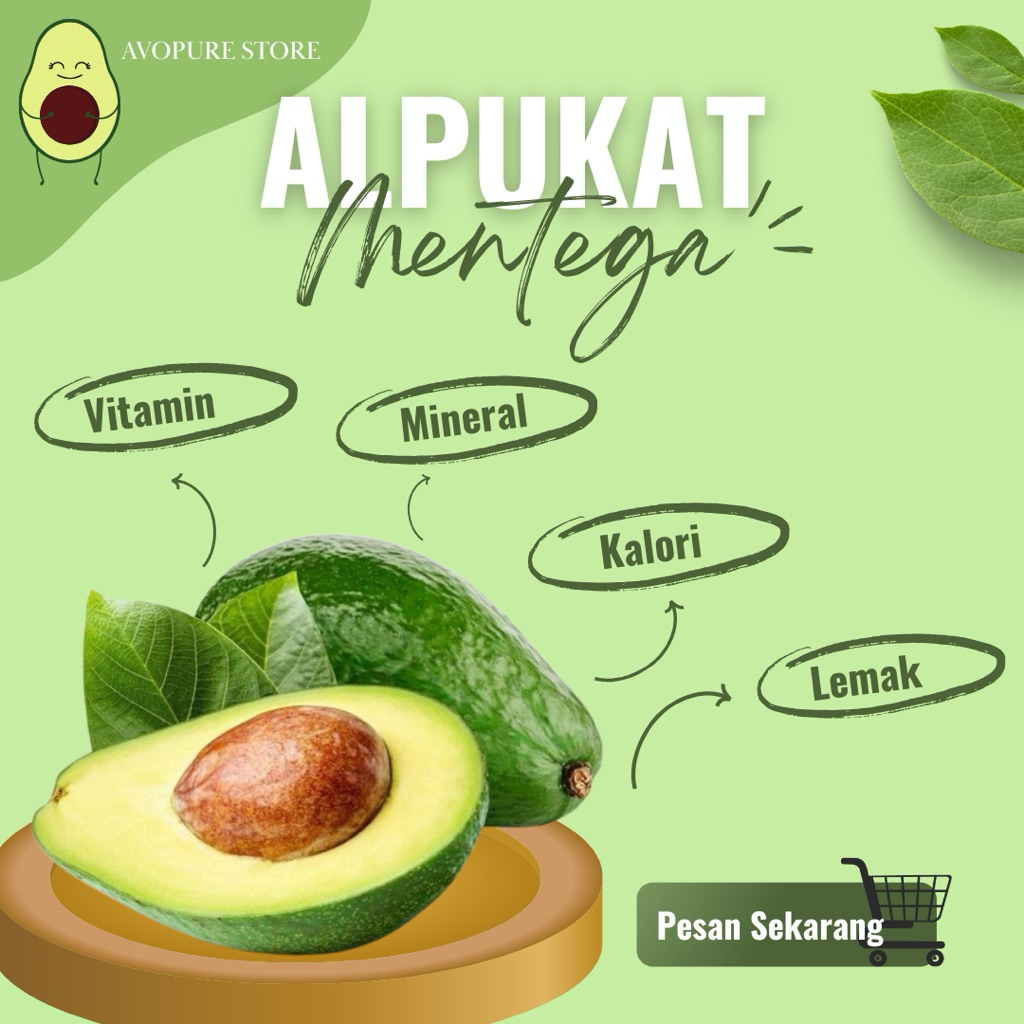 

ALPUKAT MENTEGA