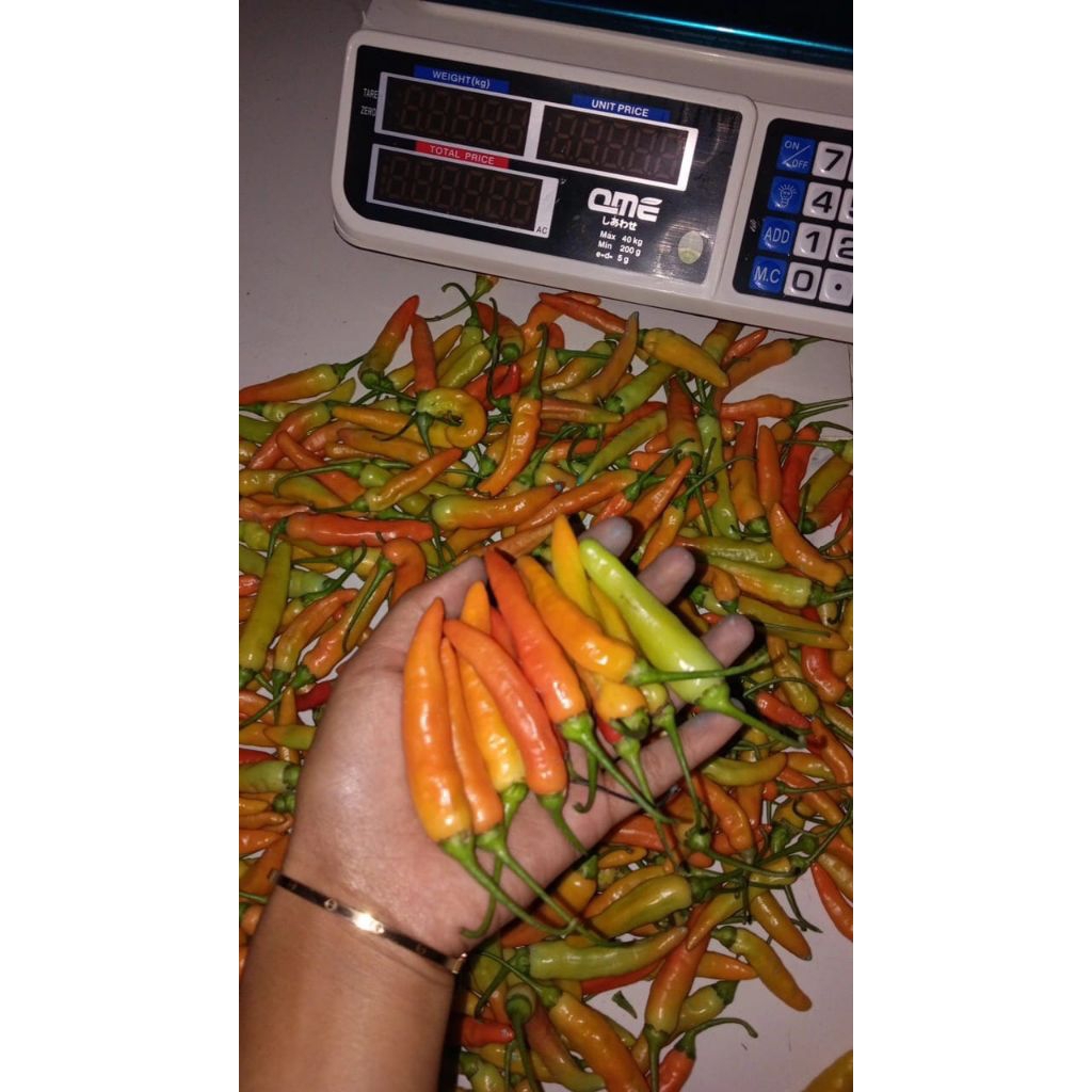 

CABE RAWIT MERAH PEDAS 1kg/500gr