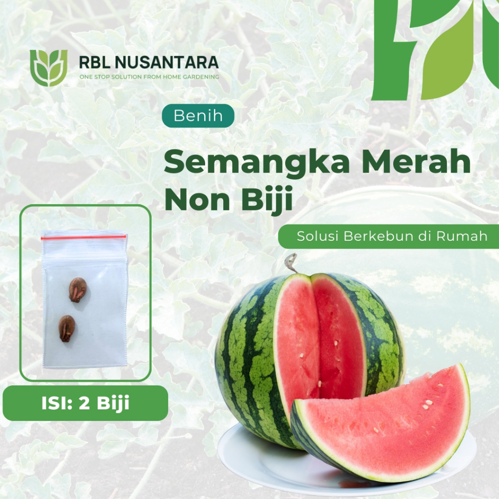 RBLN - 2 Benih Buah Semangka Merah Non Biji Hibrida F1