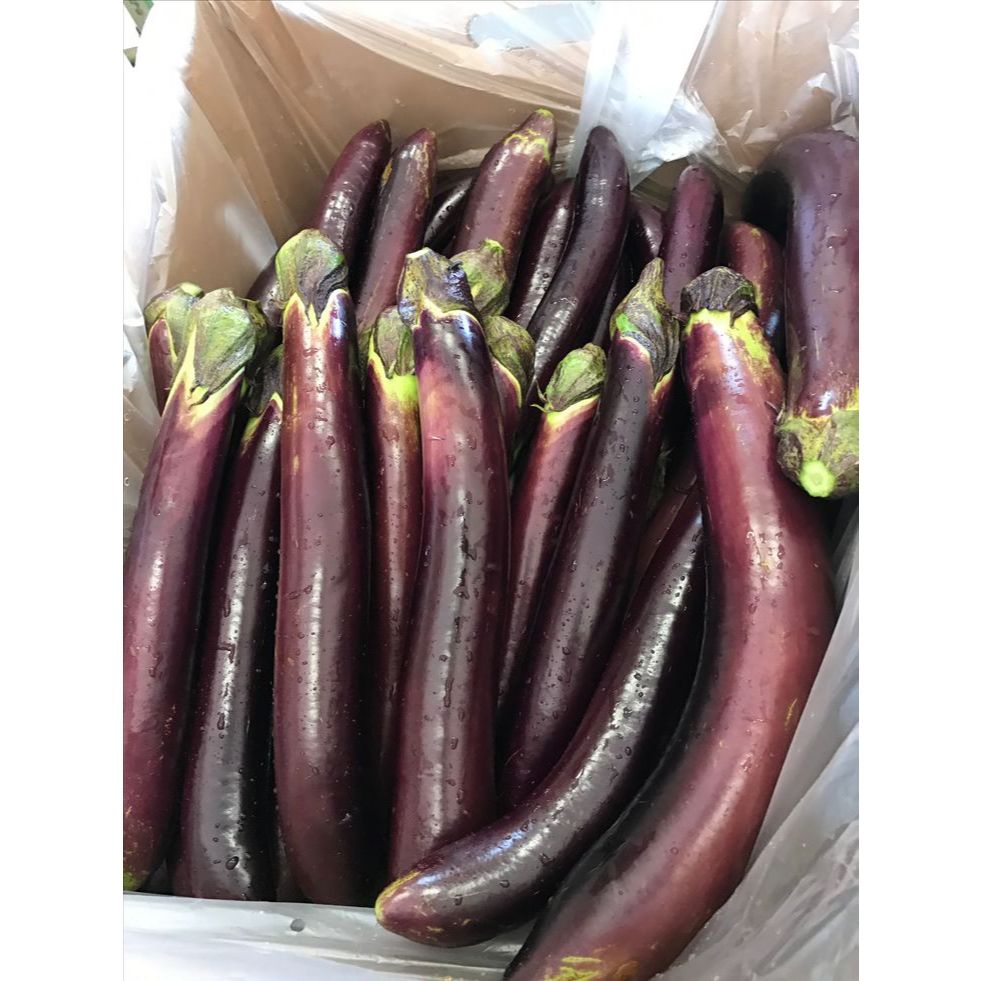 

Terong Ungu Fresh Murah Berkualitas Pengiriman Instant @500gr @1kg