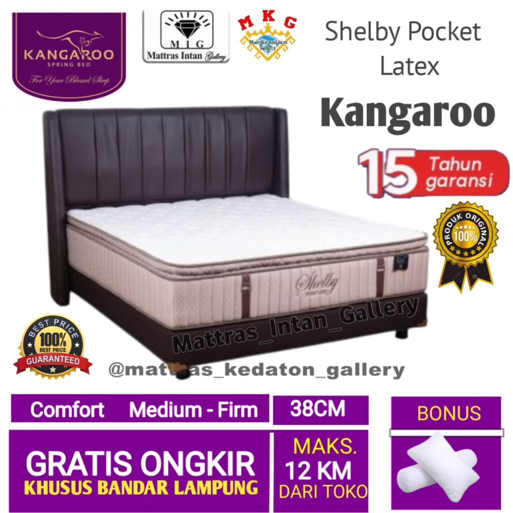 Springbed Kangaroo Full set Shelby Pocket Latex T39cm - kasur spring bed kangaroo spring bed size 16