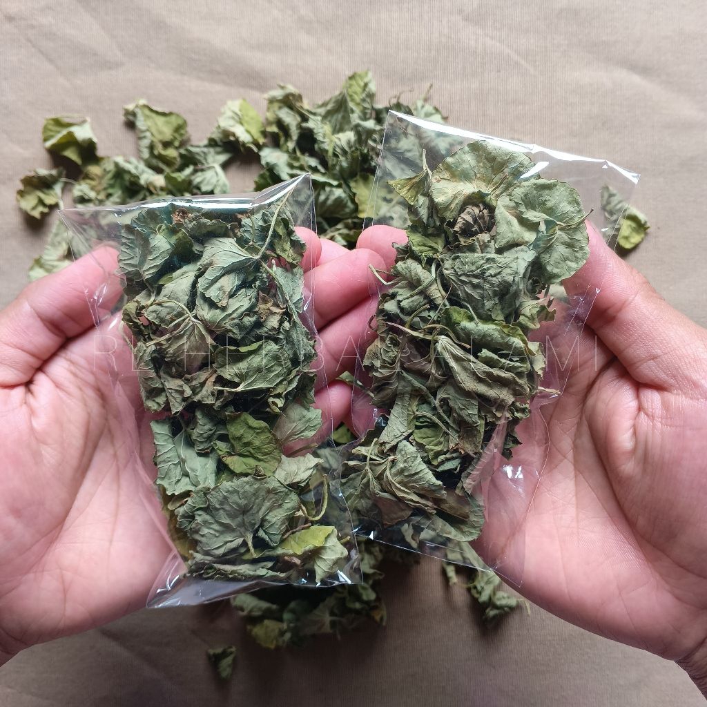 

PAKET HEMAT!! Daun pegagan kering