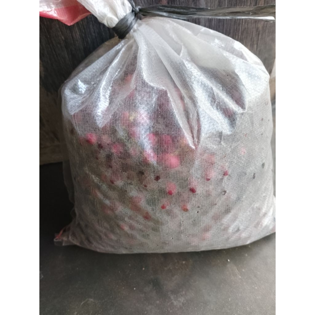 

kopipilihanuntukmenemaniwaktudipagihari