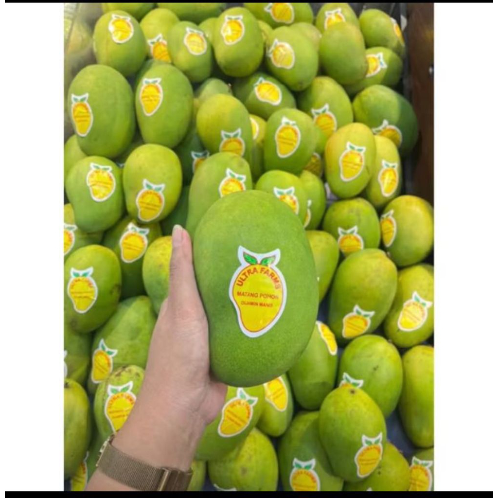 

Mangga harumanis matang pohon d jamis manis 1kg