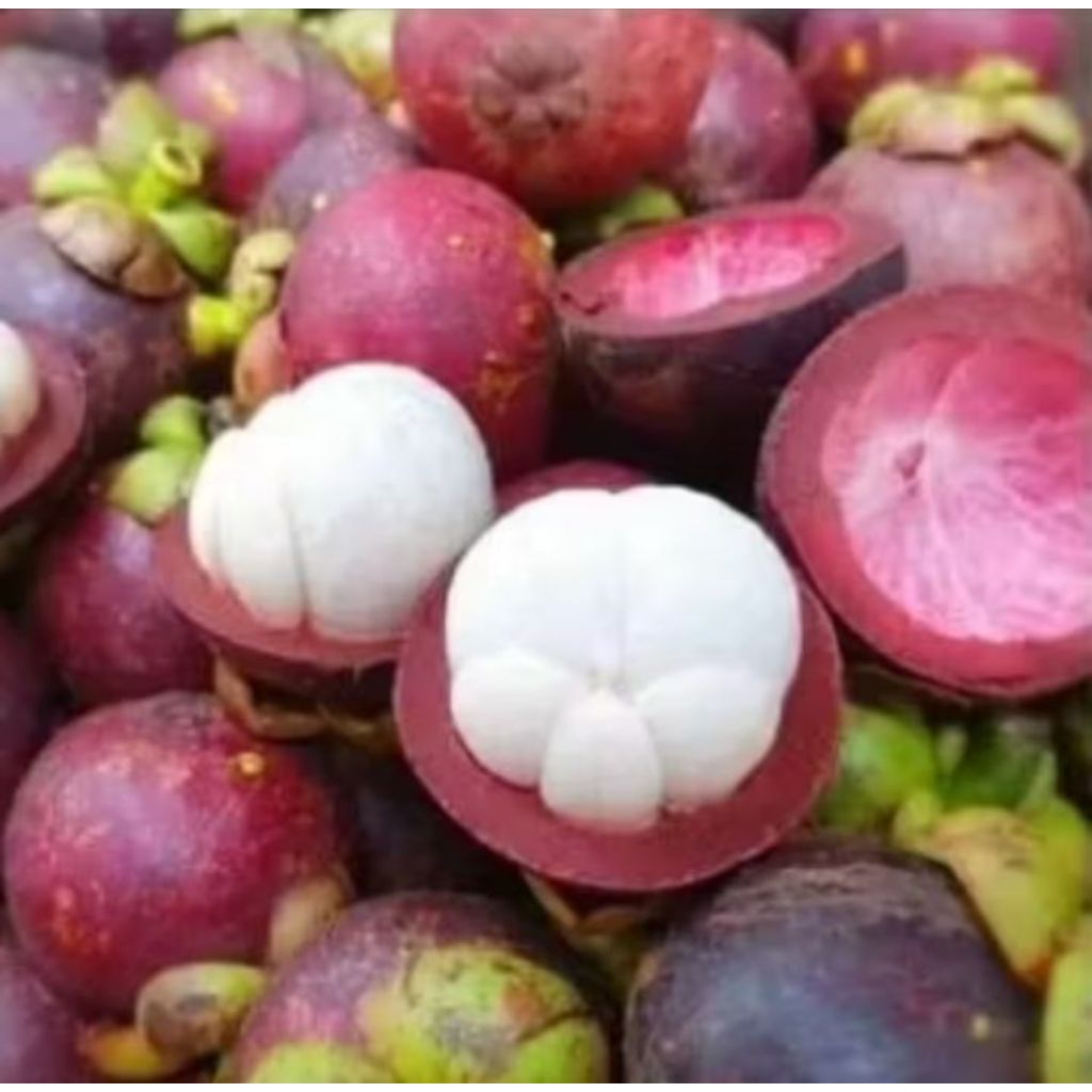 

Promo. manggis super manis 1kg