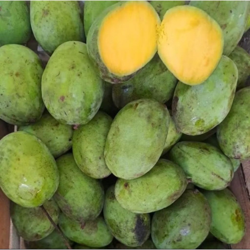 

Mangga Kweni 1kg