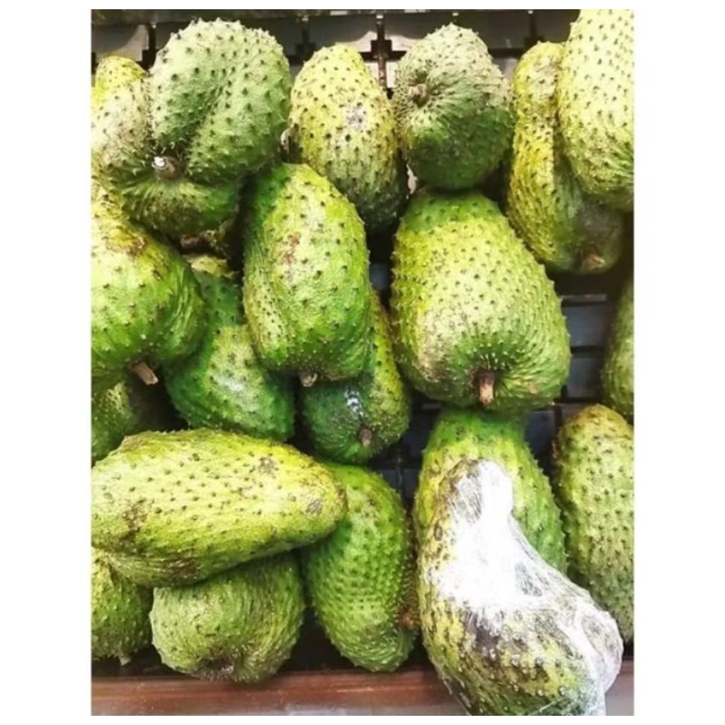 

Buah Sirsak Jumbo fresh 1kg