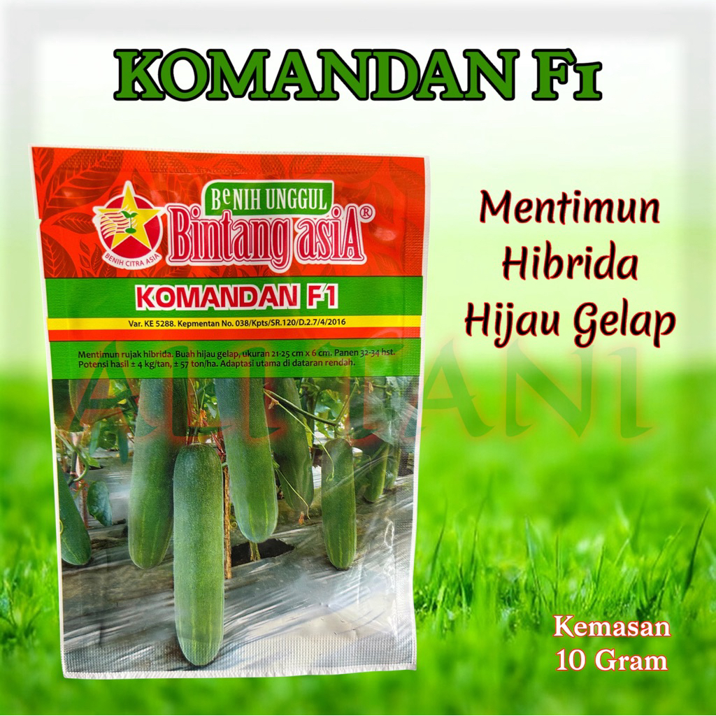 Benih / Bibit Timun Komandan F1 Bintang Asia