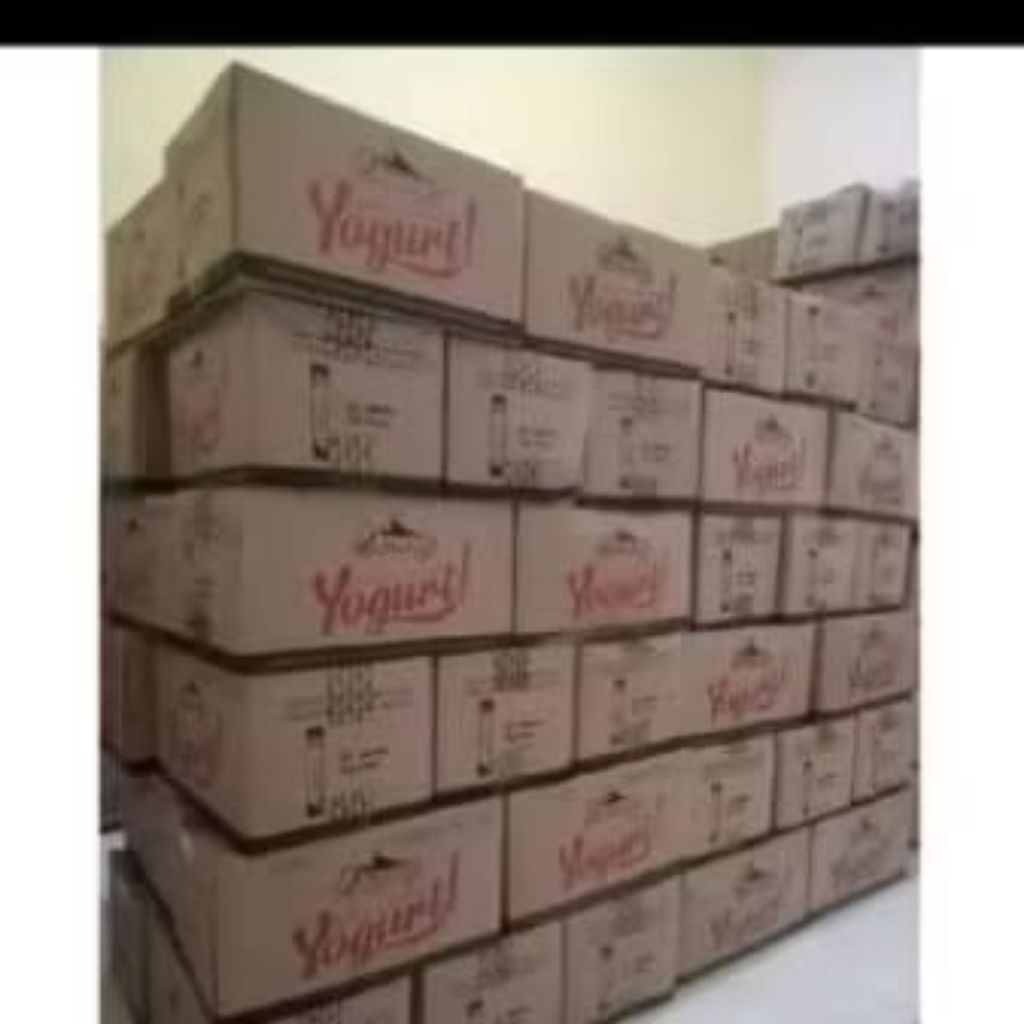 

cimory yogurt stick 40gr satu karton isi 100pcs
