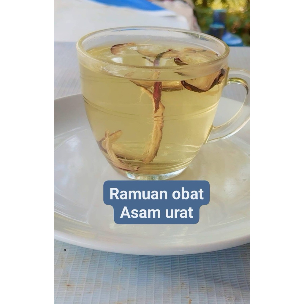 

ramuan asam urat asli jamu herbal mahkota dewa original tinggal direbus/diseduh